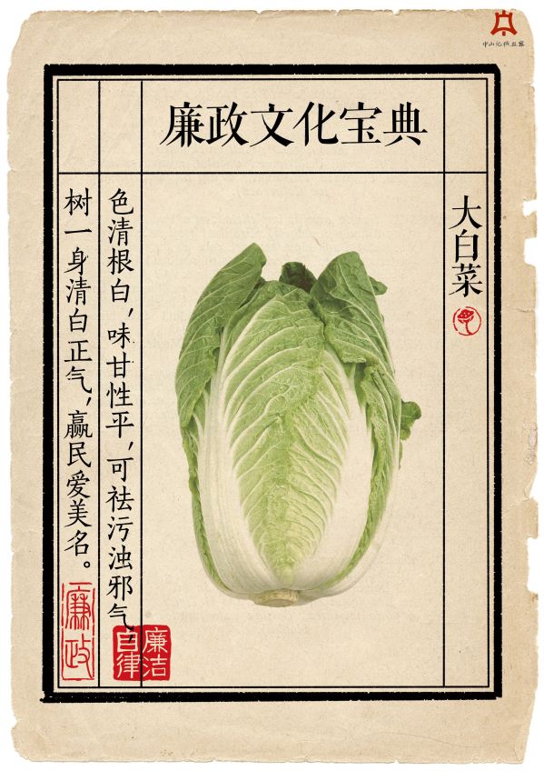 大白菜篇.jpg