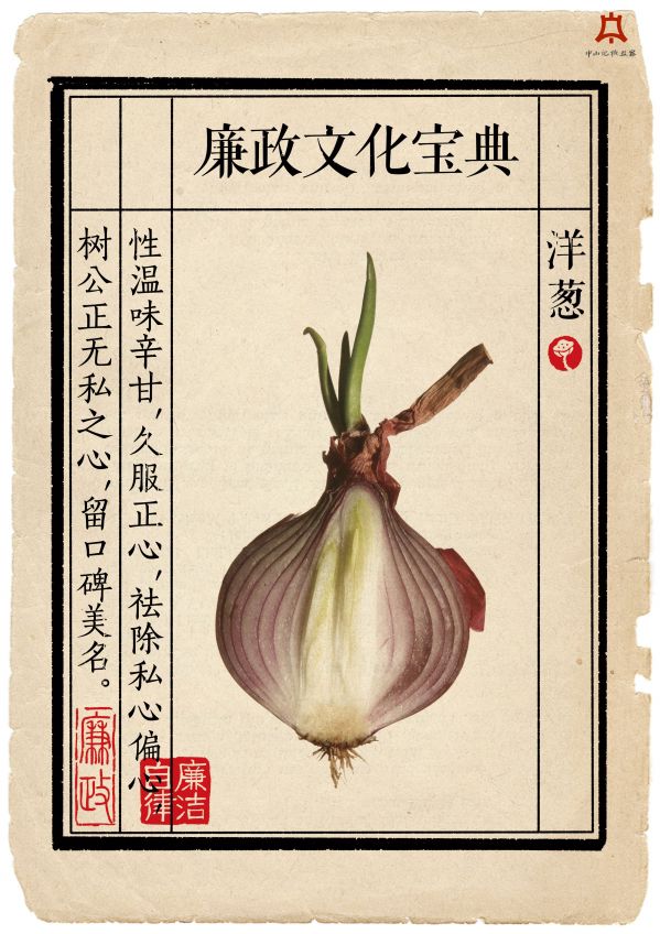 洋葱篇.jpg