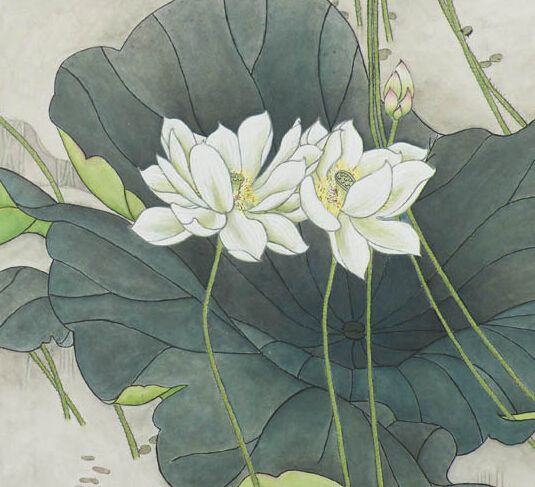 10.20荷花.jpg