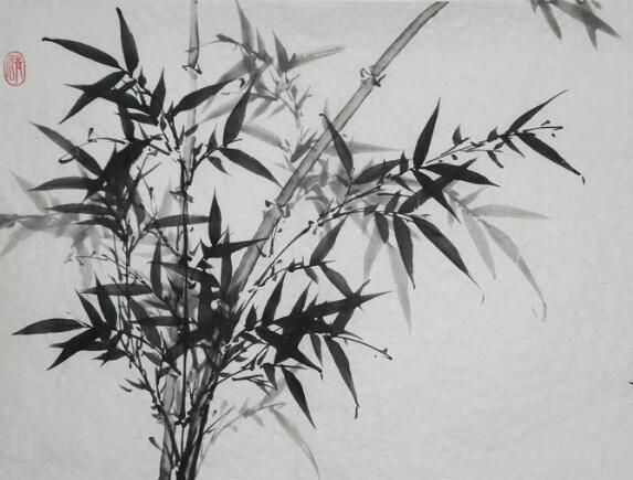 11.7竹子.jpg